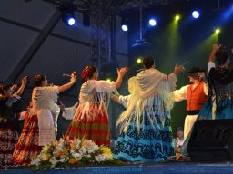 Festival de Folkore en Mula